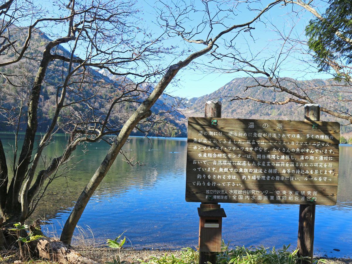 Okunikko Park Lodge Miyama Kültér fotó